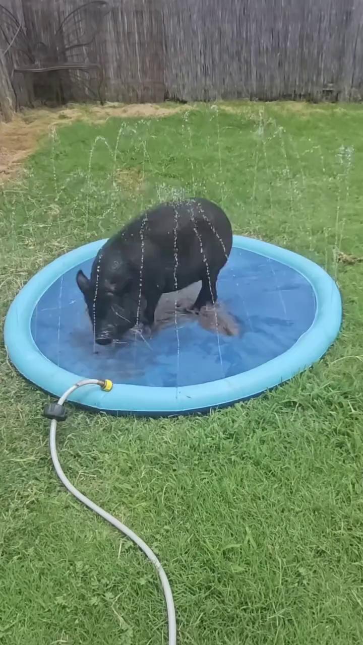 ������
