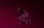 ���� / Bleach - 20 �����, 5 �����