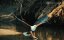  -   / The Eagles / Eagle - Queen of the Skies - 