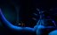 ����������� �������� ������� / Legend of the Sea - �����