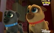 ������� ����� / Puppy Dog Pals - 4 �����, 8 ����� "������� ������� �������"