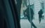   / Come pecore in mezzo ai lupi / Like Sheep Among Wolves - 