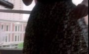 �������� ��� ������� / Nash Bridges - 2 �����, 5 �����