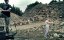   / Urban Fighter / Arena of the Street Fighter / Street Gangs - 