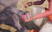 ������ � �����. ����� ����������� / Adventures of Akira and Mowgli - 1 �����, 3 �����