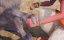 ������ � �����. ����� ����������� / Adventures of Akira and Mowgli - 1 �����, 3 �����