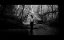 ���������� / Abstractions - �����-�������