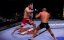 Georges St-Pierre Tribute - #thankyouGSP