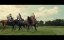  / Turf - 