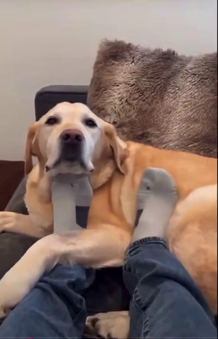 ������