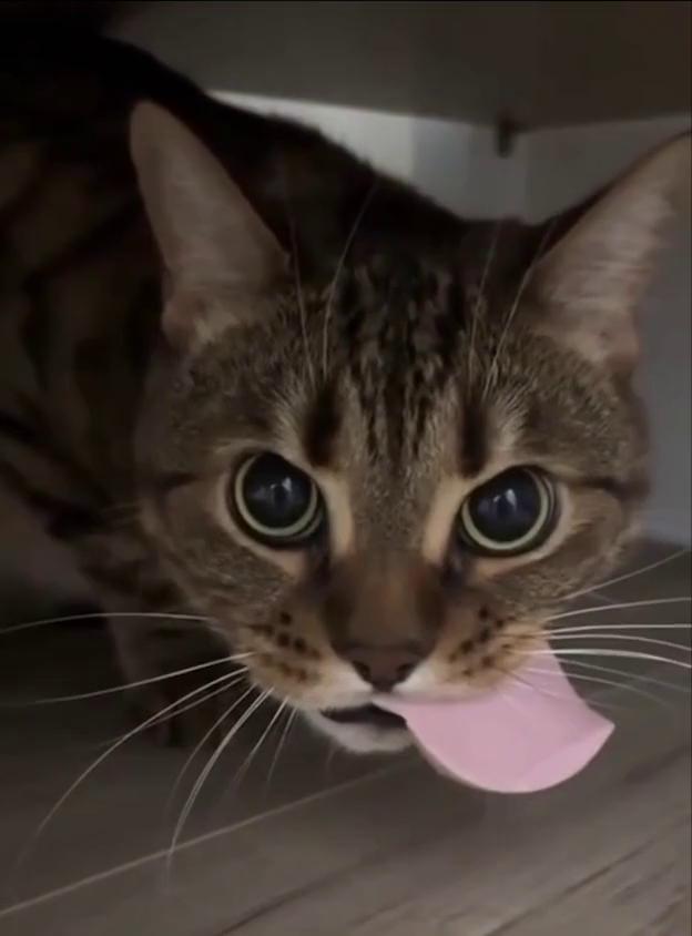 ������