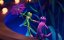    / Singin in the Pond - 