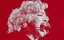     / Crazy for Madonna - 