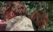 ����� ���� ���... - �����