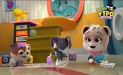 ������� ����� / Puppy Dog Pals - 4 �����, 22 ����� "��������� �����"