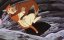  :     / Shiroi Kiba: White Fang Monogatari / White Fang Story / Shiroi Kiba Monogatari - 