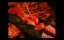   / The Bleak - 