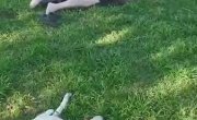 ������� �������...