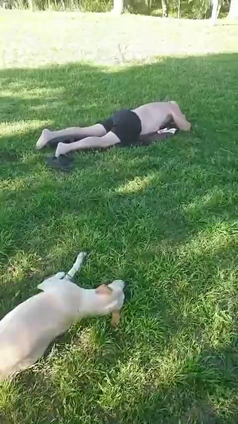 ������
