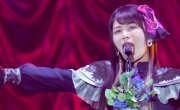 Roselia (FIRE BIRD) Chronicle movie