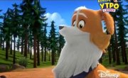 ������� ����� / Puppy Dog Pals - 3 �����, 22 ����� "����� ���������"