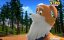 ������� ����� / Puppy Dog Pals - 3 �����, 22 ����� "����� ���������"