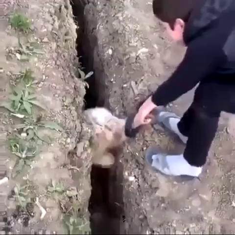 ������