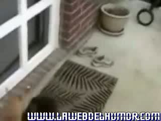 ������