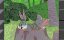������� ������� / Merrie Melodies & Looney Tunes - 127 �����