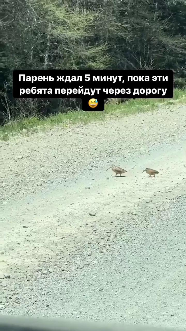 ������
