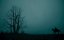   / Raven`s Hollow -  