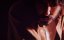    / Rabbit Trap - 