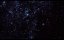  / The Wolf of Snow Hollow - 