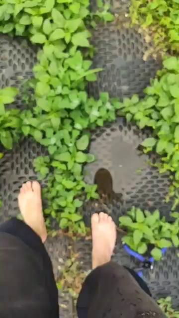 ������