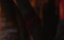 / Panor - 