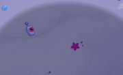 ������� ��� ������� /  Baby Shark's Big Show! - 3 �����, 11 �����