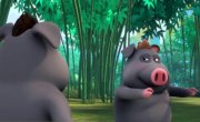 ����� � ������� ���� / Panda and Rooster - 1 �����, 33 �����