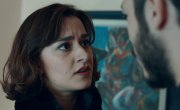 ����� (���) / Cukur (Çukur) - 4 �����, 98 �����