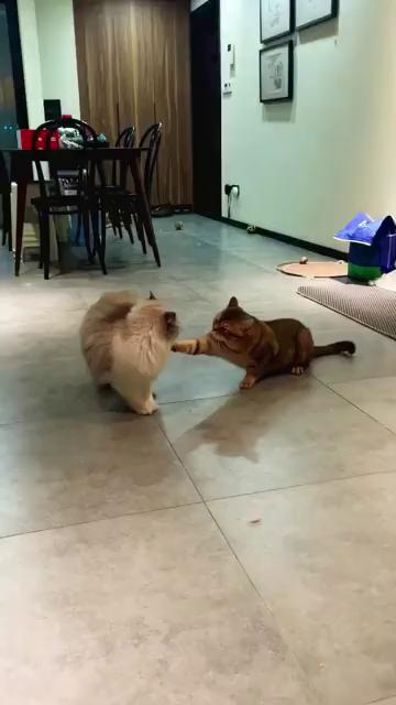 ������