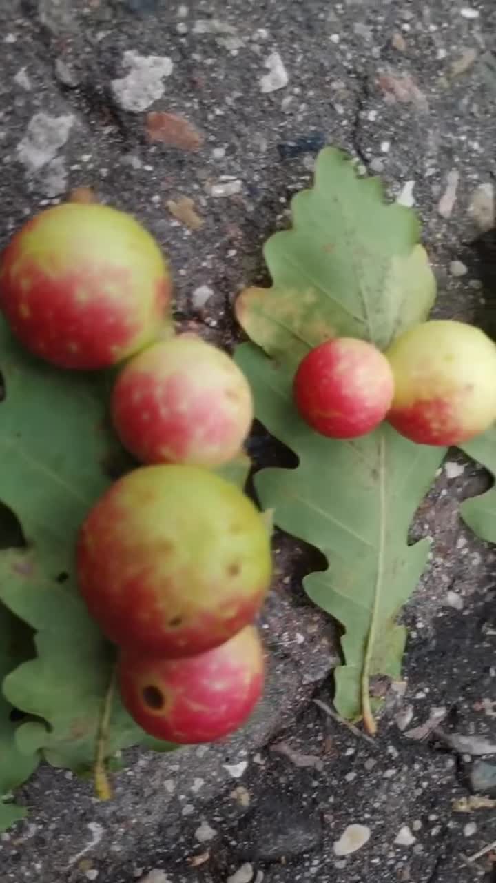 ������