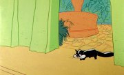 ������� ������� / Merrie Melodies & Looney Tunes - 11 �����