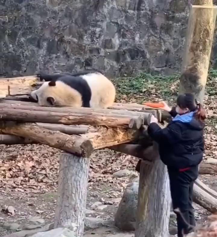 ������