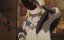      / Yuusha Party wo Tsuihou sareta Shiromadoushi, S-Rank Boukensha ni Hirowareru - 1 , 3 