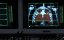 ��������� / Multiplicity - �����