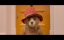   2 / Paddington 2 - -