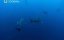   / Sea strikers - 