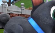 ������� ����� / Puppy Dog Pals - 4 �����, 25 ����� "��� ����� ��������"