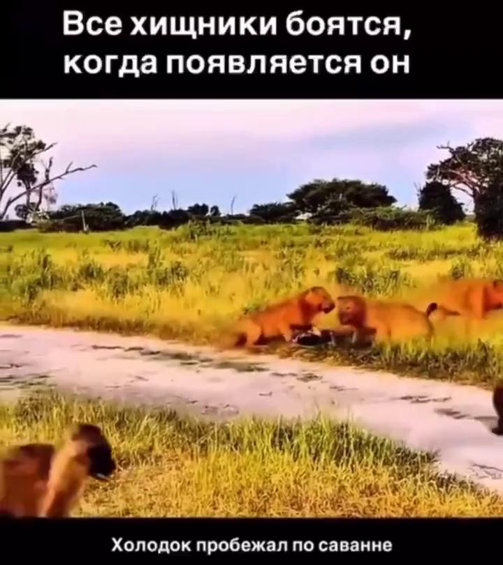 ������
