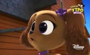 ������� ����� / Puppy Dog Pals - 5 �����, 15 ����� "��� ����"