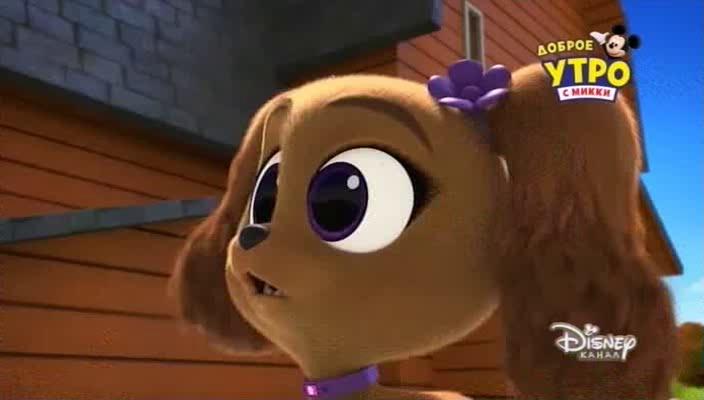 ������